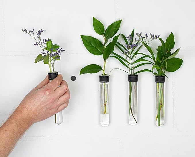 Magnetic Wall Hanging Plant Propagation Station - 2PC - Black Leather Wrapped Test Tube Vase Set, Modern Home and Office Decor, Hydroponic Plant Holder, Includes Wall Mount Magnets