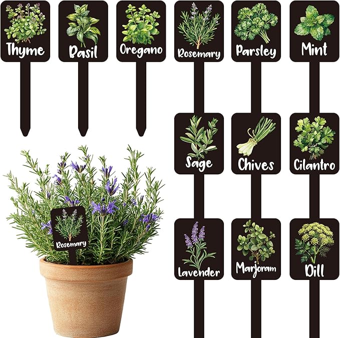 Whaline 12Pcs Herb Plant Label Signs 12 Styles Garden Herb Markers Thickened Waterproof Acrylic Plant Stake Tags with Names for Nursery Indoor Outdoor Garden Decor
