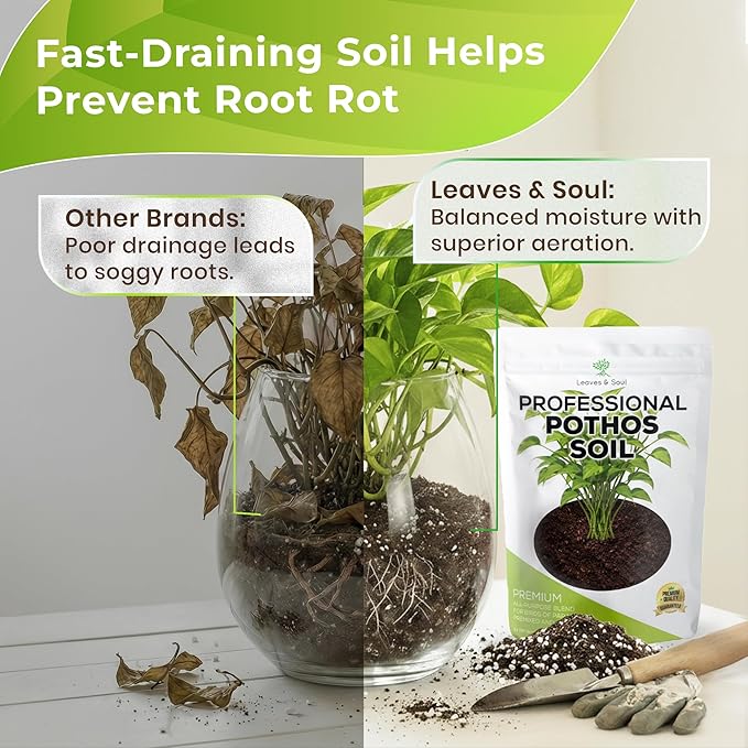 Professional Pothos Soil Potting Mix 2.2 Quarts Ready to Use, Premium Indoor Plant Soil for Pothos Plants, Pothos Dirt with Peat Moss Coco Coir Perlite Dolomite, Made in USA