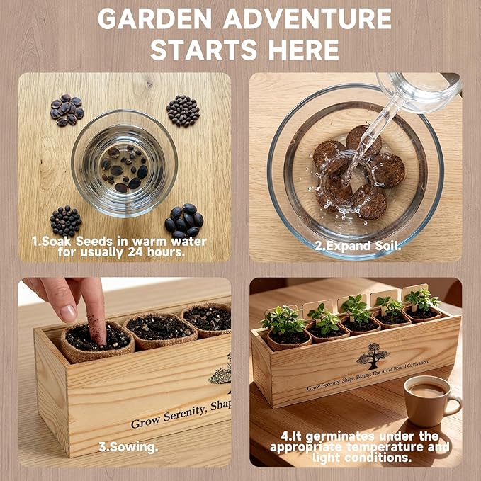 5X Bonsai Starter Kit, Bonzai Seed Kits, Durable Planting Bags, Complete Indoor Starter Kit for Growing Bonsai Plants, Gardening Gifts for Women & Men