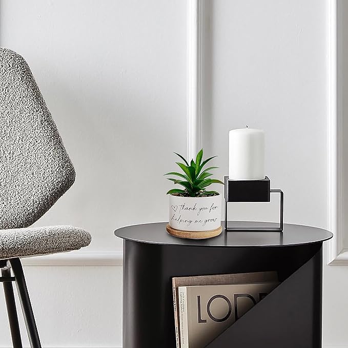 Thanks for Helping Me Grow Funny Plant Pots Thank You Pot Without Plant, Small Succulent Plant Pot Indoor Planter for Women Men Friend Coworker Housewarming Gift (No Plant)