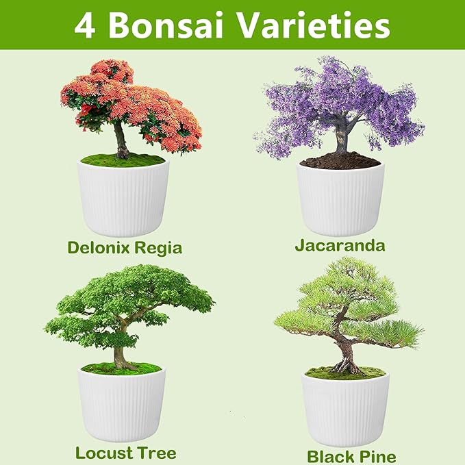 Bonsai Tree Kit, Bonsai Starter Kit with 4 Types of Seeds, Tools & Planters, Bonsai Tree Live Plants Indoor, Gardening Gifts for Women Men Mom Father Plant Lover, Unique