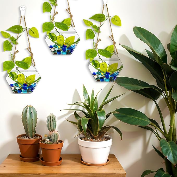 6 Pcs Wall Hanging Planter Glass Plant Pot Water Terrarium Containers Wall Vases for Flowers Air Hydroponic Propagation Glass Plant Holder Home Room Window Office(Hexagon)