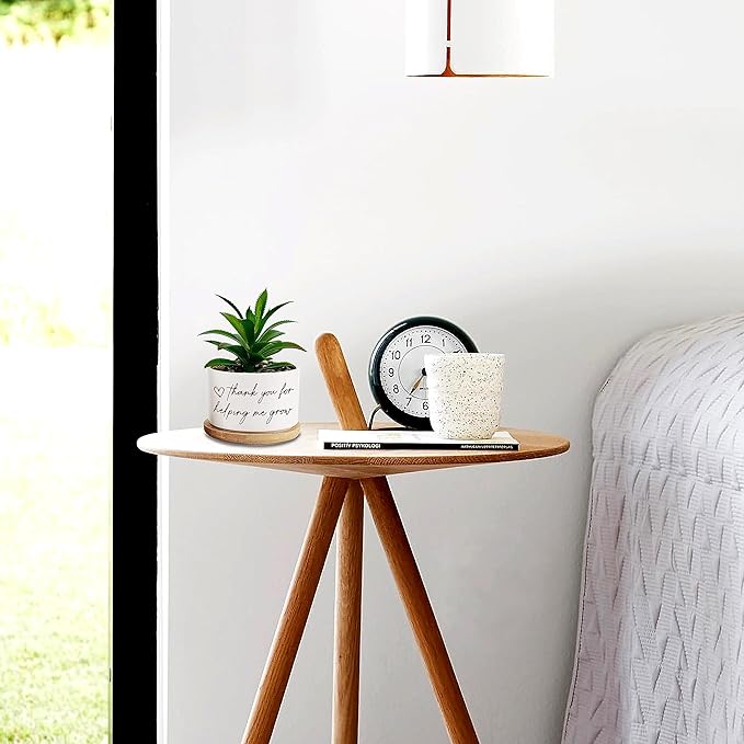 Thanks for Helping Me Grow Funny Plant Pots Thank You Pot Without Plant, Small Succulent Plant Pot Indoor Planter for Women Men Friend Coworker Housewarming Gift (No Plant)