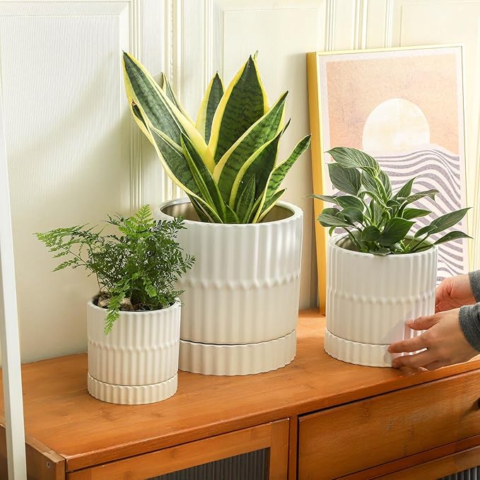 HASENSE Ceramic Plant Pots Set of 3, 8/6/4.6 Inch Cylinder Flower Planters with Drainage Saucers, Vertical Ribbed Modern White for Home Office & Outdoor Plants