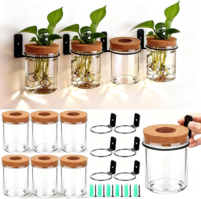Baderke 6 Set Wall Plant Holder with Plastic Propagation Vases Hanging Planter Wall Mounted Set for Plants Growing in Water Hydroponic Artificial Plants Indoor Decor (3.54" X 4.33",Stylish)