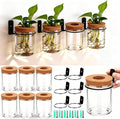 Baderke 6 Set Wall Plant Holder with Plastic Propagation Vases Hanging Planter Wall Mounted Set for Plants Growing in Water Hydroponic Artificial Plants Indoor Decor (3.54" X 4.33",Stylish)
