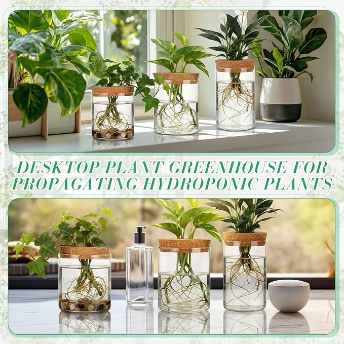6 Pcs Glass Plant Propagation Stations (2 Large + 2 Medium + 2 Small) Hydroponic Flower Vases Desktop Plant Terrarium Jar for Cuttings, for Living Room, Bedroom, Home Decoration