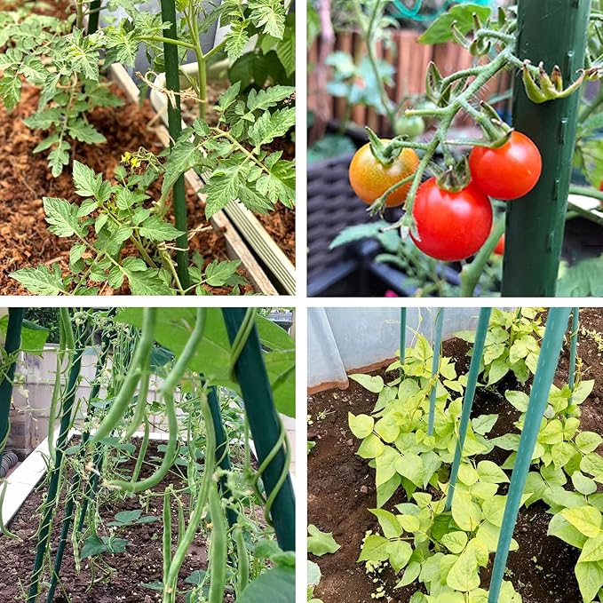 NANOPRETTY Garden Stakes 4FT Tomato Stakes for Outdoor Plant Support, 0.43 inch Diameter Plant Stake Sticks for Beans Potted Climbing Plants Gardening Supplies 20 Pack