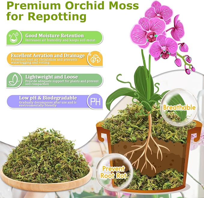 Legigo 4.4LBS Sphagnum Moss for Plants, 80QT Natural Orchid Moss Potting Mix Dired, Green Forest Plant Moss for Orchid Repotting Carnivorous Succulents Indoor Potted Plants Gardening and Reptiles