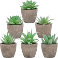 Woration 6pcs Artificial Succulents Plants Potted Assorted Decorative Faux Fake Small Green Succulent with Pot Table Shelf Windowsill Indoor Greenery Decor