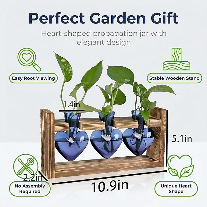 Plant Propagation Station 3Pcs Heart Vase with Wooden Stand Tabletop for Hydroponics Indoor Home Table Decor for Her Plant Lovers Women Mom Wife Daughter (Blue)