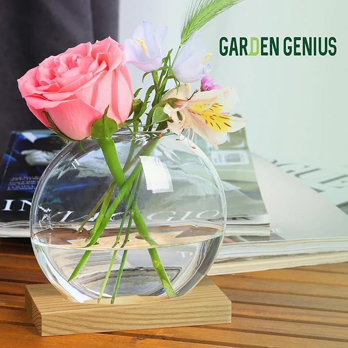 Single Glass Propagation Station with Wooden Base – Hydroponic Plant Terrarium for Home & Office | Ideal Christmas, New Year & Birthday Gift for Plant Lovers, Moms | Desktop Windowsill Planter Vase