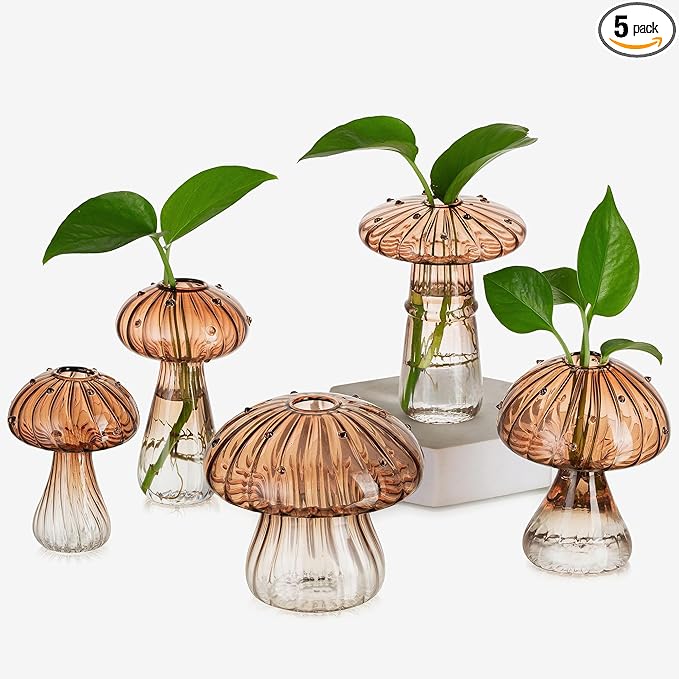 Glasseam Mushroom Plant Propagation Stations: Amber Glass Terrarium Jar Set of 5 Cute Planters for Indoor Plants Mini Propagate Station Unique Christmas Birthday Gifts for Women Home Office Decor