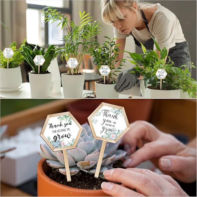 48 Pcs Thank You for Helping Me Grow Succulent Tags Teacher Appreciation Gifts Hexagon Wooden Plant Stakes Label Garden Marker Plant Sign for Teacher's Day Xmas Thanksgiving (Teacher Style)