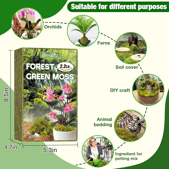 ZeeDix 2.2 lbs Forest Moss for Plants Indoor - Dried Orchid Moss for Repotting, Natural Green Sphagnum Moss for Potted Plants Carnivorous Monstera Succulents Crafts Reptile Habitat (Expands to 40 qt)