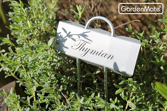 GardenMate 100-Pack Weatherproof Mini Metal Plant Labels, Height 5 3/4'', Label Area 7/8'' x 2 1/2''