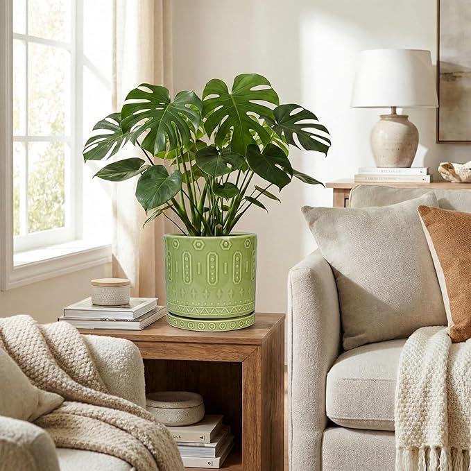 Eightpot Ceramic Pots for Plants, 8 Inch Plant Pot with Drainage Hole and Tray, Round Planters for Indoor Plants, Modern Flower Pot, Decorative Planter, Living Room Decor, Gardening Gifts, Green