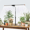 Grow Light for Indoor Plants,6000K White Sun Spectrum Growing Light Lamp with Red Blue LED for Pot Succulents Seeds, Light Strip Foldable & Height Extendable 9-25'', Auto Timer 4 8 12Hrs
