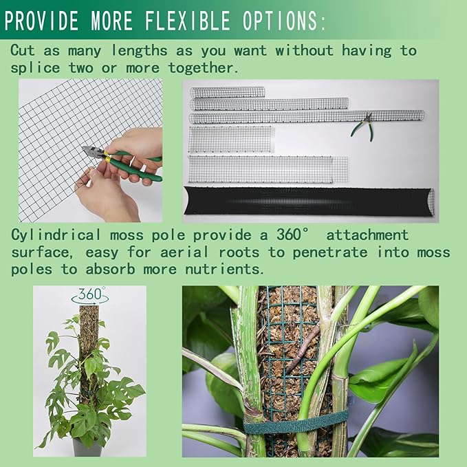 Metal Moss Poles for Climbing Plants, D-Shape Sphagnum Moss Pole Monstera Plant Support for Climbing Plants, DIY Plant Stakes Work with Sphagnum Moss (12ft D-Shaped)