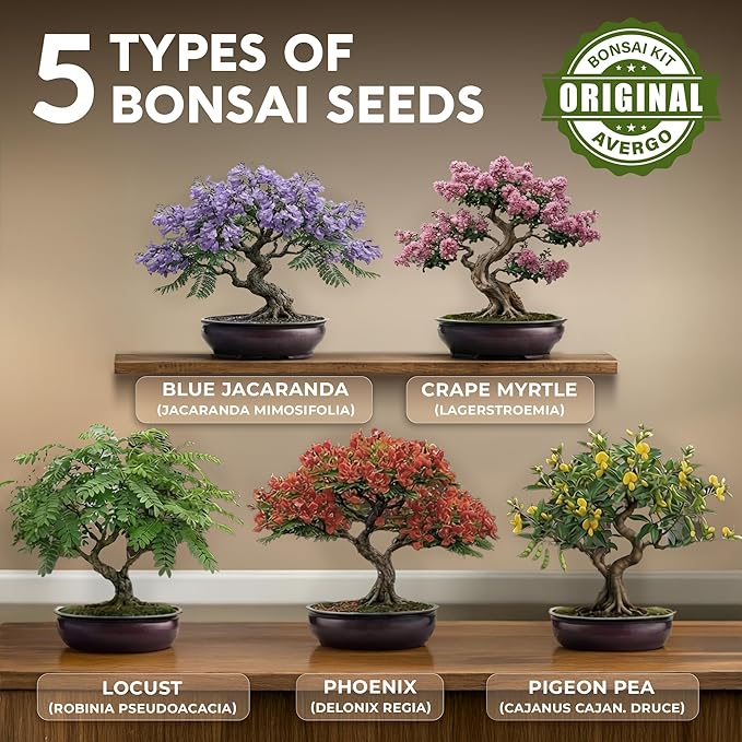 AVERGO Bonsai Tree Kit Classic - 5X Unique Japanese Bonzai Trees | Complete Indoor Bonsai Starter Kits for Growing Trees – DIY Gardening Gifts for Mother's Day, Women & Men