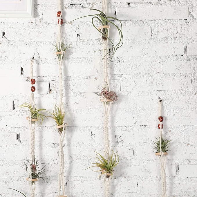 Shappy 4 Pieces Air Plants Holders Hanger Air Plant Wall Hanger Handmade Rope Hanging Plant Holder Woven with 4 Hooks for Home Decoration