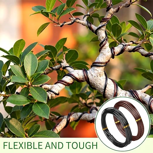 Mudder 5 Roll Aluminum Bonsai Training Wire Tree 160 Feet Total with Bonsai Wire Cutter Anodized Training for Holding Branches Small Trunks (1/1.5/2/2.5/3mm,Classic)