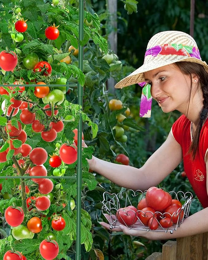 MYMULIKE 3 Pack Tomato Cages for Garden, 51in*13in Adjustable Tomatoes Plant Stakes Support Cages Trellis, Garden Trellis for Vegetable Flowers Fruits Climbing Plants- 20 Binding Wires Included