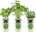 Hydroponic Herb Growing Kit Set, Self-Watering Mason Jar Herb Garden Starter Kit Indoor, Window Herbs Garden, Grow Your Own Herbs from Organic Seeds (Basil, Cilantro and Mint)