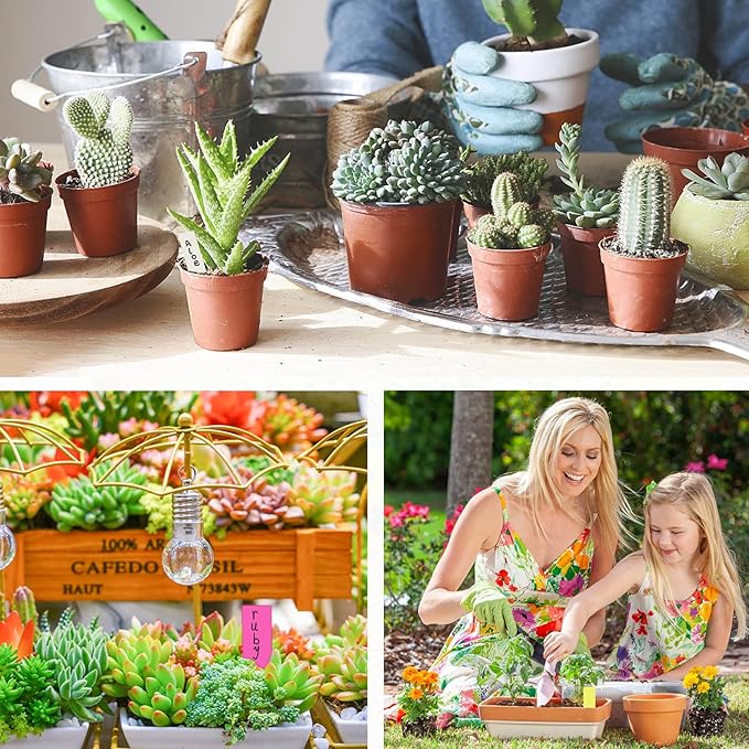 1000 PCS Plastic Plant Labels for Seeding Plant Tags for Outdoor Garden, Waterproof Labels for Pot Garden Stake