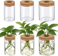 6 Pcs Glass Plant Propagation Stations (2 Large + 2 Medium + 2 Small) Hydroponic Flower Vases Desktop Plant Terrarium Jar for Cuttings, for Living Room, Bedroom, Home Decoration