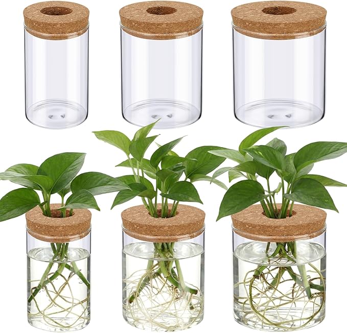 6 Pcs Glass Plant Propagation Stations (2 Large + 2 Medium + 2 Small) Hydroponic Flower Vases Desktop Plant Terrarium Jar for Cuttings, for Living Room, Bedroom, Home Decoration