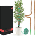 UNCO- Bendable Moss Pole Monstera Plant Support, 48 Inch, 2 Pack, 10 Feet Plant Ties, Moss Poles for Climbing Plants and Monstera Trellis