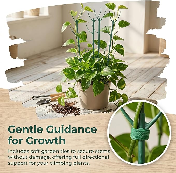 10 Pack Stackable Monstera Plant Support Stakes, Plant Sticks Support Tall for Pothos Climber, Plant Support Garden Stakes for Indoor & Outdoor Pots, Essential Monstera Support for Climbing Vines