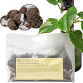 THICCLY GrowCloud Advanced Aroid Substrate with Perlite 3 Qts - Premium Sphagnum Moss Alternative GrowPoles