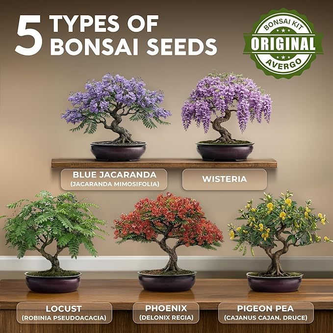 AVERGO Bonsai Tree Kit Deluxe - 5X Unique Japanese Bonzai Trees | Complete Indoor Bonsai Starter Kits from Seeds to Trees – DIY Gardening Gifts for Mother's Day, Women & Men