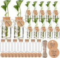 Baderke 24 Pack 3.54'' Plastic Plant Propagation Stations with Hole Lid 4oz Planter Vase Clear Propagation Jars with Thank You Tags for Plant Lover Gifts for Women Office Home Garden(24 Pack)