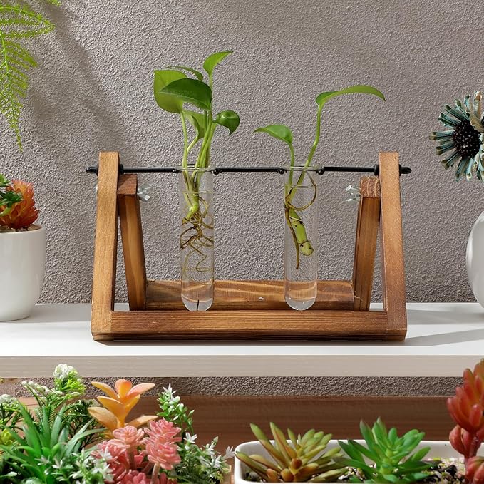 Kisangel 5Pcs Plant Propagation Tubes, Glass Test Tubes Plant Propagation Station for Clear Hydroponic Flower Vase