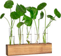 YIBOT Propagation Stations, Plant Terrarium with Wooden Stand, 5 Glass Test Tubes Vases, Birthday Gardening Gifts for Women Mom Plant Lovers, Home Office Desk Decor