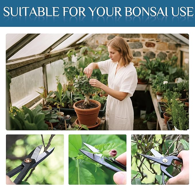 14-Piece Bonsai Tree Kit, Bonsai Tool Set, Carbon Steel Scissors Cutter Shears, Perfect Gardening Trimming Pruning Tools Jin Pliers, Rake with Spatula Starter Kit