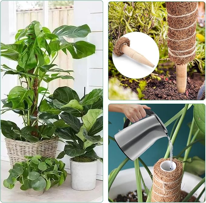 4 Pcs Moss Pole Monstera Plant Support, 15.75" Plant Support Stakes for Indoor Plants, Stackable Moss Poles Sticks Plant Poles for Climbing Plants Garden Potted Plants Pothos + Accessories