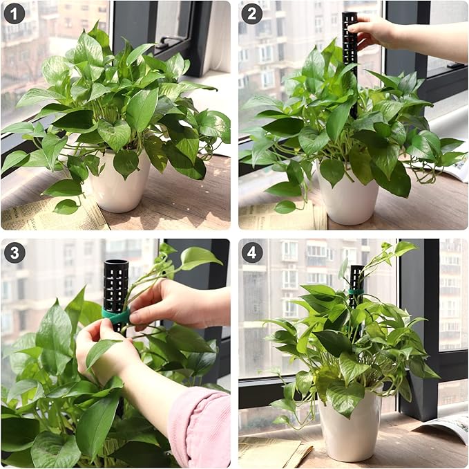 LangRay Moss Pole for Climbing Plants Monstera, Indoor Plant Supports, Plastic Moss Stick, Plant Stake for Garden, Extension Aid Climbing Rob (Black, 2pcs 10inch)