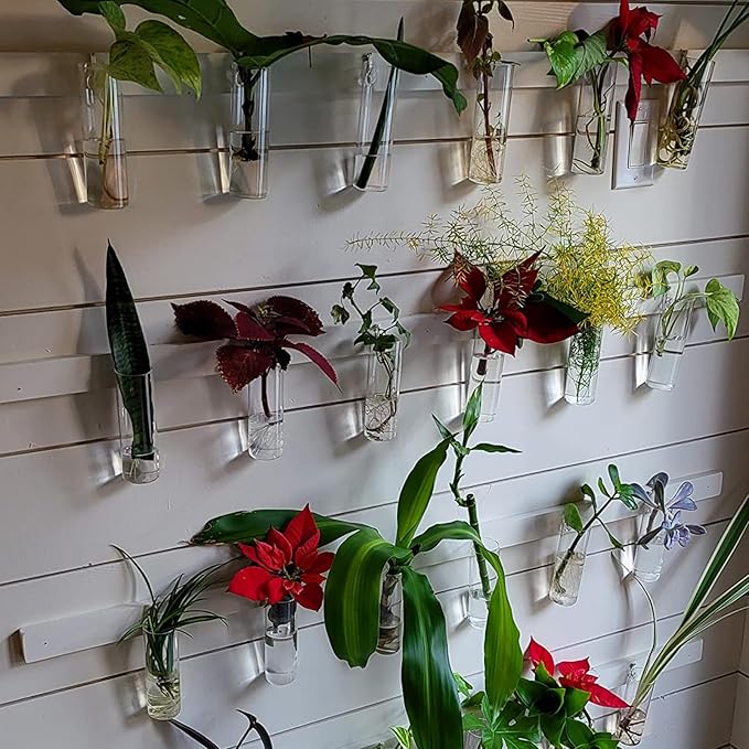 JEUIHAU 8 PCS 5.9 in x 1.85 in Glass Wall Mounted Planters, Wall Glass Tube Plant Holder, Clear Flower Vases Hanging, Propagation Containers for Hydroponics Plants, Garden Decor