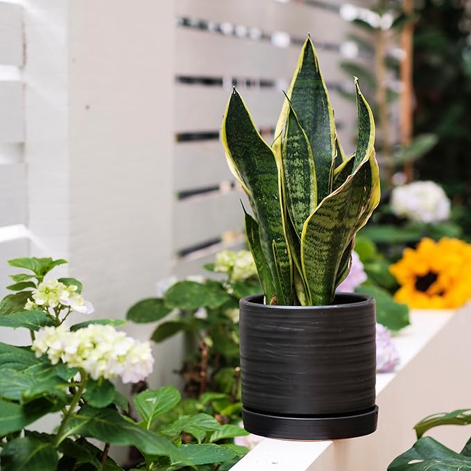 HERDUK 6 + 8 Inch Plant Pots, Ceramic Planter Pot with Drainage Hole & Saucer, Indoor/Outdoor Cylinder Round Planter Pot, Matte Black
