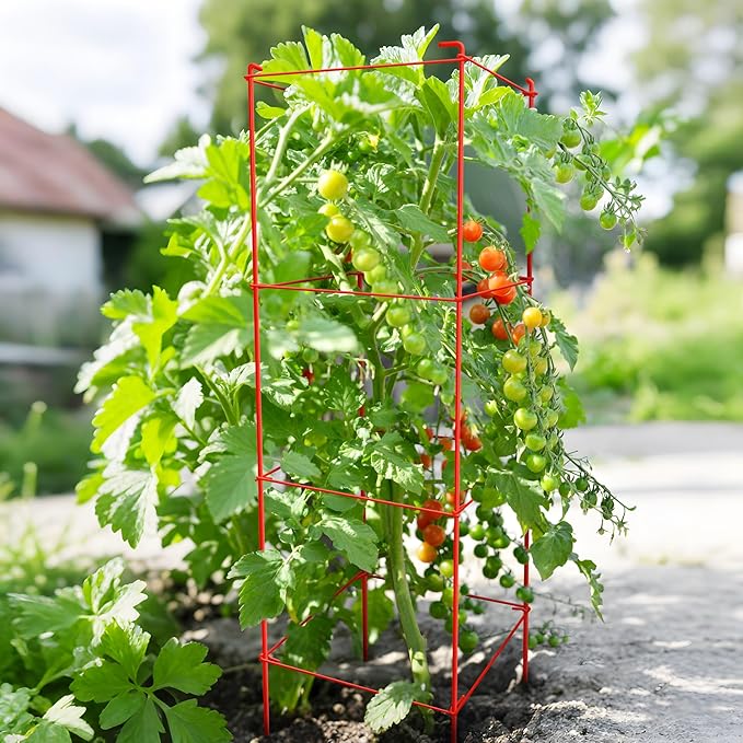 Thealyn Tomato Cages 6 Packs 46 Inch (H) Plant Stand with 164 Feet Twist Ties, Heavy Duty Garden Plants Support for Tomatoes, Cucumber, and Other Climbing Plants (Red)