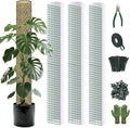 Metal Moss Poles for Climbing Plants, D-Shape Sphagnum Moss Pole Monstera Plant Support for Climbing Plants, DIY Plant Stakes Work with Sphagnum Moss (12ft D-Shaped Frosted)