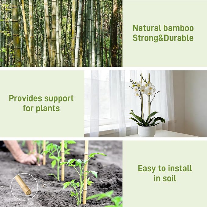 50Pcs Garden Stakes, 0.32”/ 2Feet Bamboo Sticks，Natural Plant Stakes for Indoor and Outdoor Plants，Poles for Tomatoes, Beans, Potted Plants…