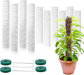 10 Pieces Plastic Moss Pole for Monstera Including 4 Pcs 24 Inch Clear Plant Poles for Indoor Climbing and 6 Pcs 15 Inch D Shape Stackable Plant Support Kit Work with Sphagnum Moss