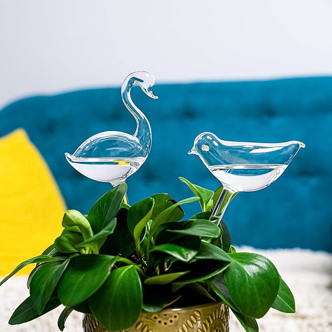 Kingbuy Self Watering Globes Plant Waterer Device Bird Shape Hand Blown Clear Glass Bulb for Indoor or Outdoor Plants, 4 Pack