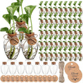 Baderke 48 Pack Big 10oz Plastic Plant Propagation Stations with Hole Lid Planter Vase Clear Propagation Jars with Thank You Tags for Plant Lover Gifts for Women Office Home Garden